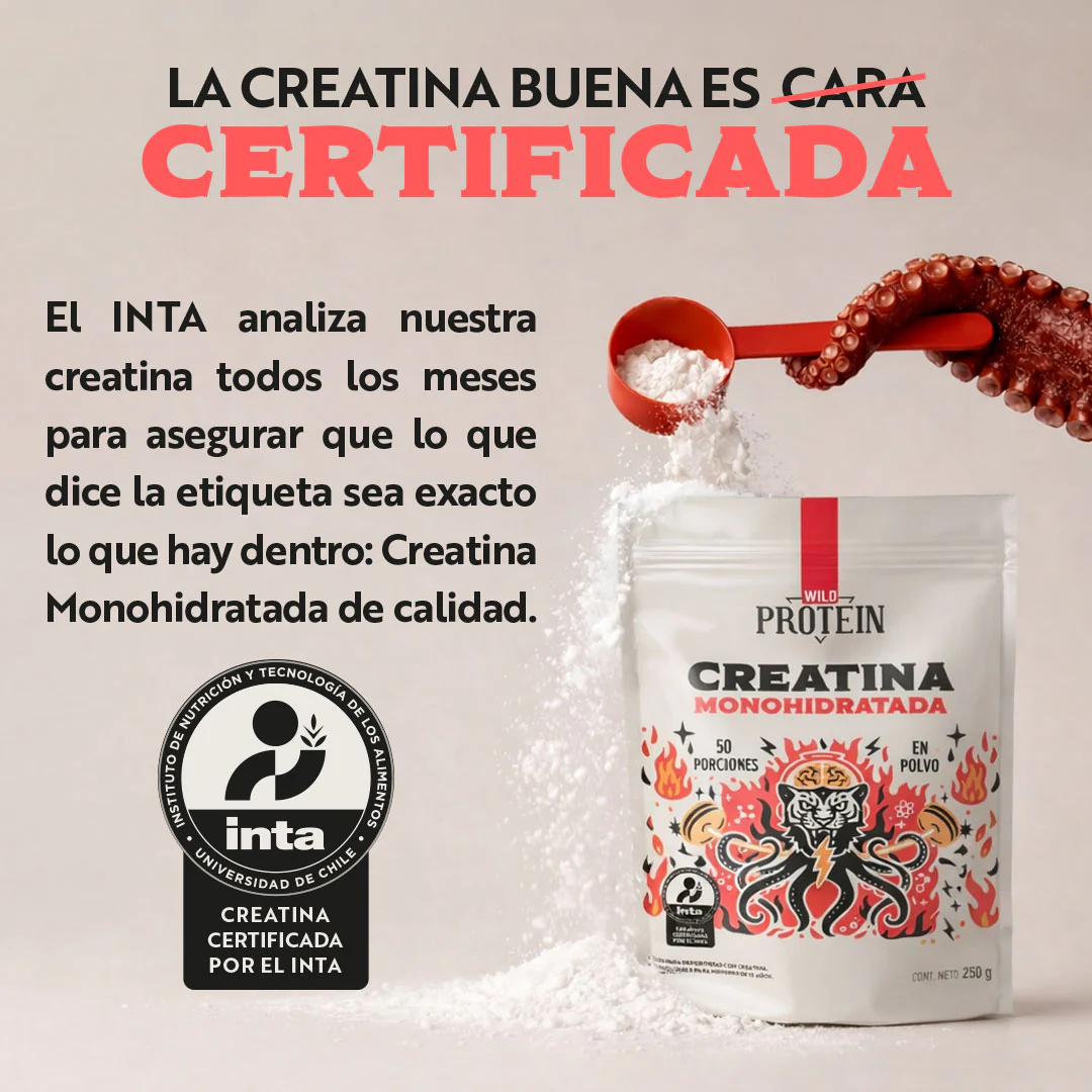 Creatina Monohidratada en Polvo 250 g - Image 4
