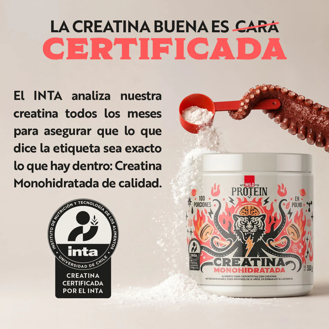 Pack 2 x Creatina Monohidratada 500g - Image 4